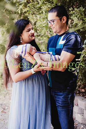 LenZx-Images-129