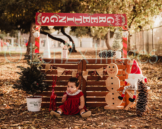 LenZx_Images-33