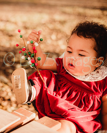 LenZx_Images-30