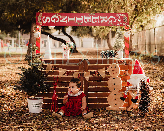 LenZx_Images-32