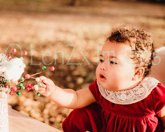 LenZx_Images-29