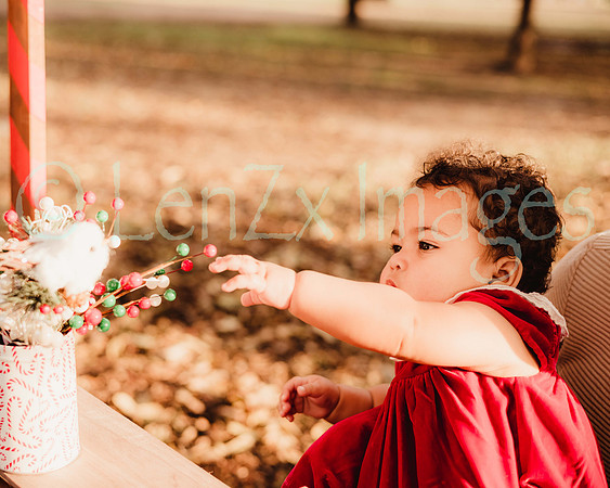 LenZx_Images-28