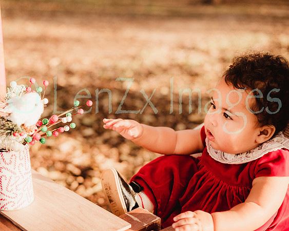LenZx_Images-27
