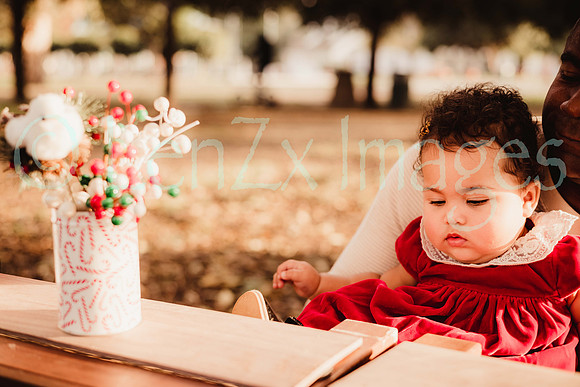 LenZx_Images-25