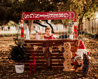 LenZx_Images-20