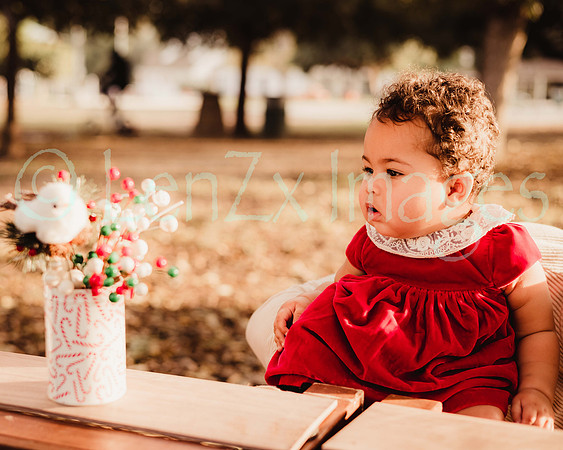 LenZx_Images-24