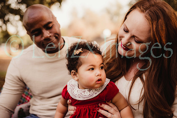 LenZx_Images-16
