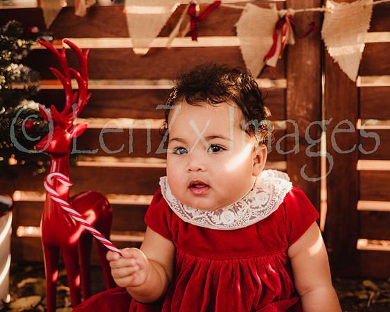 LenZx_Images-57