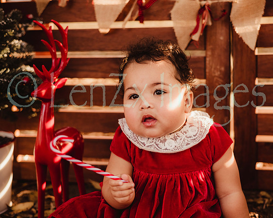 LenZx_Images-58