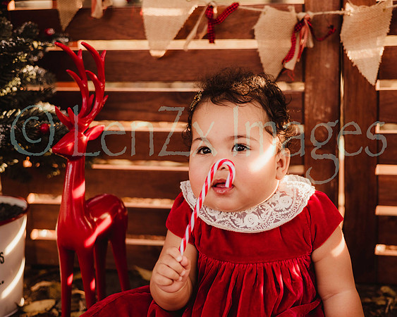 LenZx_Images-56