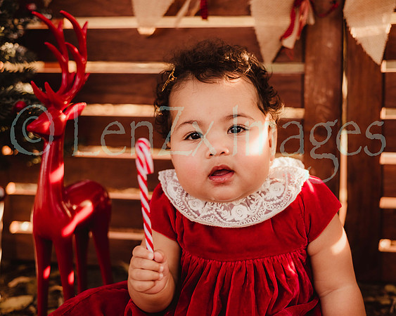 LenZx_Images-54