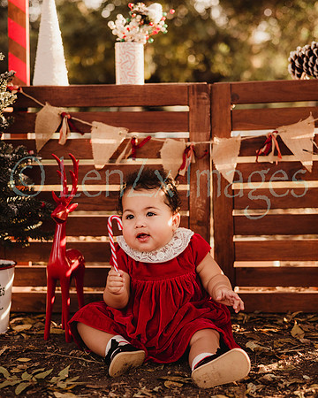LenZx_Images-51