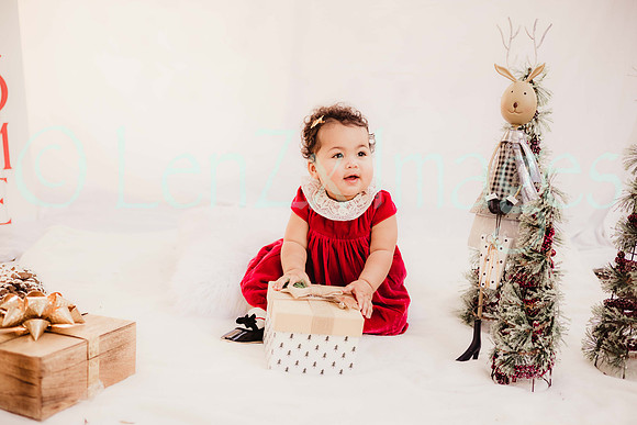 LenZx_Images-67
