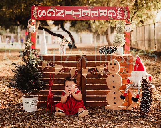 LenZx_Images-66