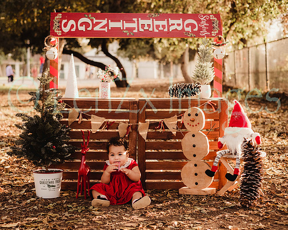LenZx_Images-65