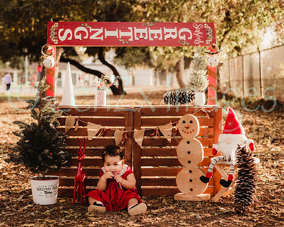 LenZx_Images-63