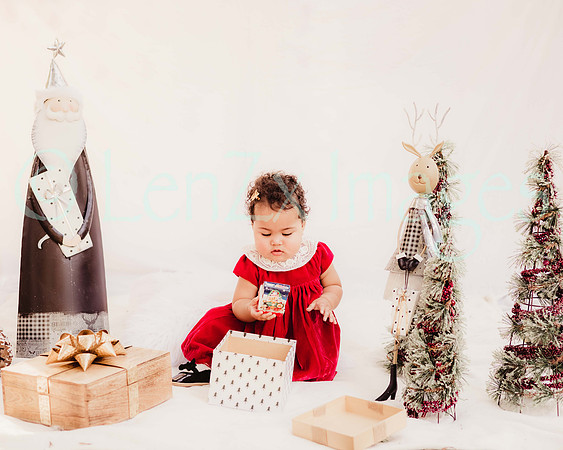 LenZx_Images-100