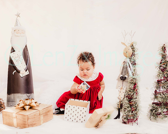 LenZx_Images-99
