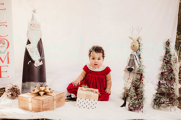 LenZx_Images-91