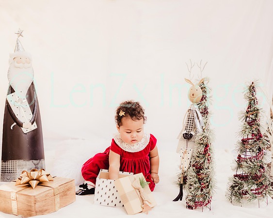 LenZx_Images-96