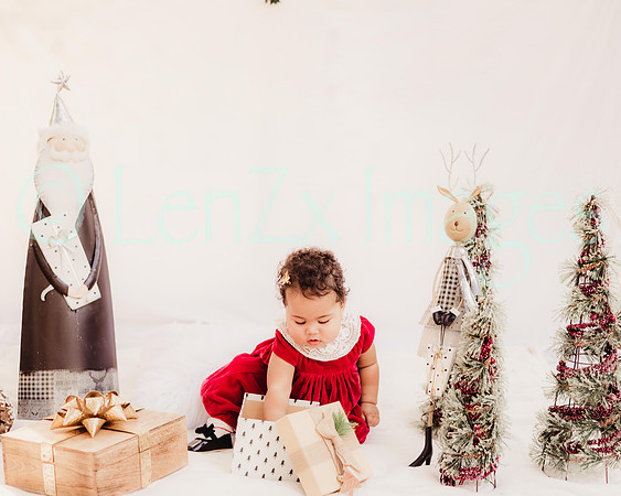 LenZx_Images-95