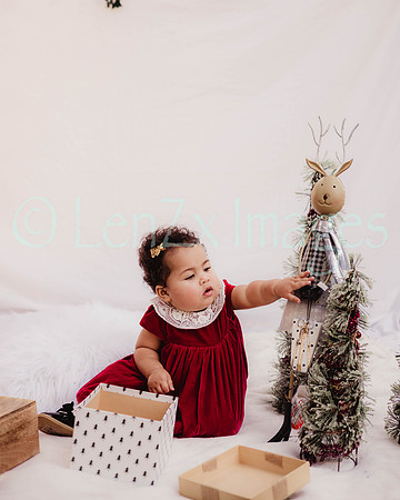 LenZx_Images-125