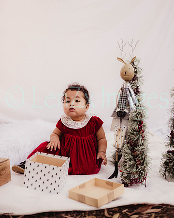 LenZx_Images-120
