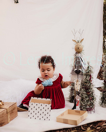 LenZx_Images-119