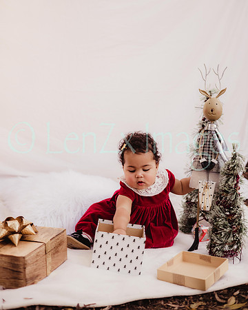 LenZx_Images-118