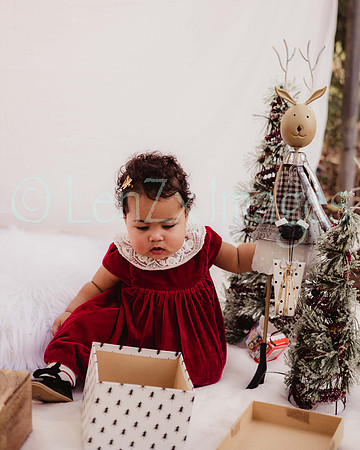 LenZx_Images-117