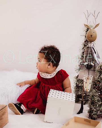 LenZx_Images-116
