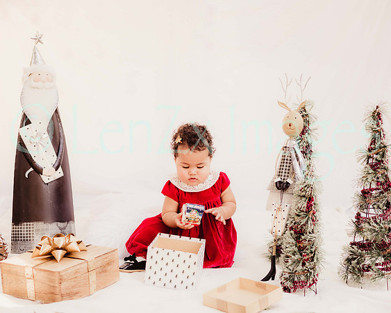 LenZx_Images-101