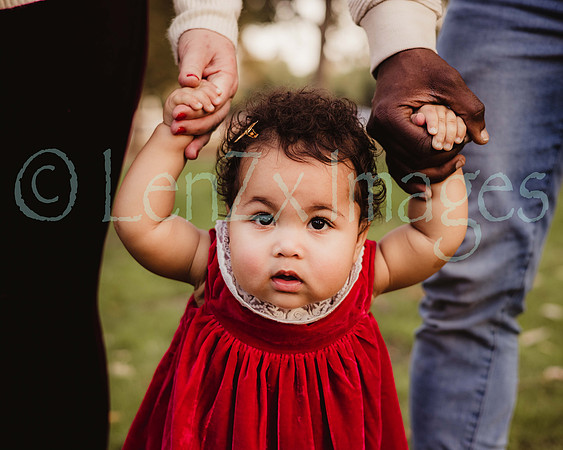 LenZx_Images-136