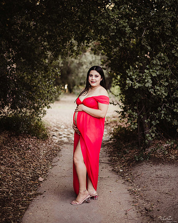 LenZx_Images-15