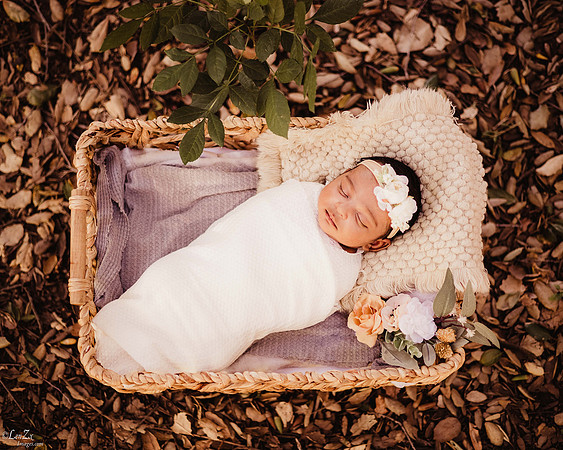LenZx_Images-2