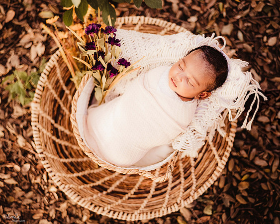 LenZx_Images-3