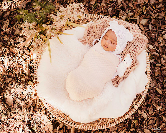 LenZx_Images-4