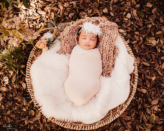 LenZx_Images-5