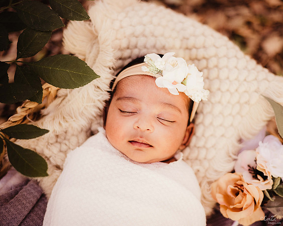 LenZx_Images-15