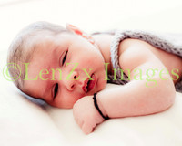 LenZx-Images-4