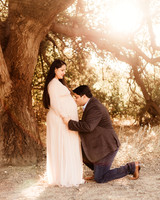 LenZx_Images-11