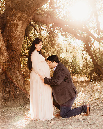 LenZx_Images-11