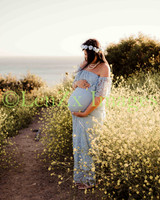 LenZx-Images-3