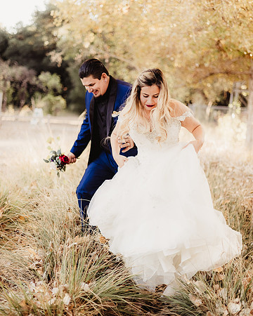 LenZx_Images-2