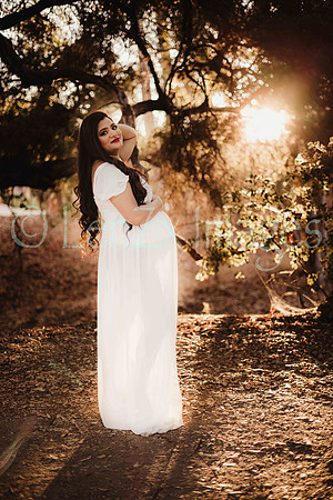 LenZx_Images-143