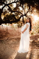 LenZx_Images-137