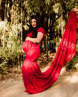 LenZx_Images-43