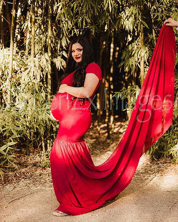 LenZx_Images-43