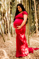 LenZx_Images-69