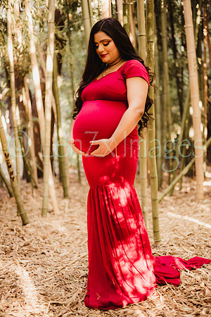 LenZx_Images-69